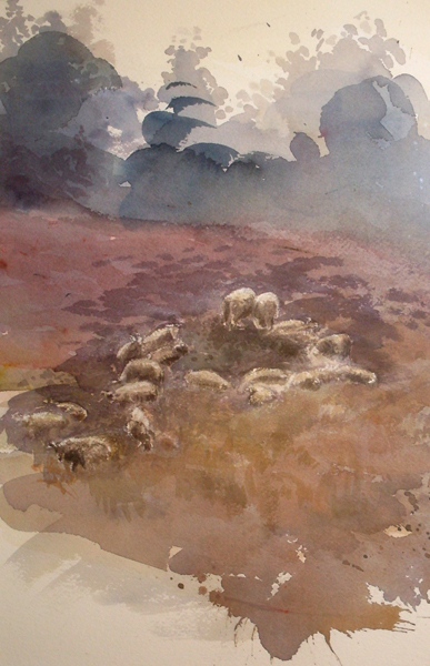 Biesbosch 36x56
